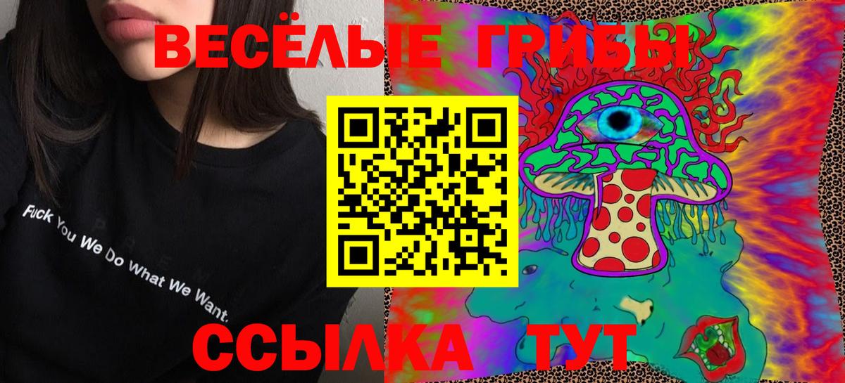Псилоцибиновые грибы MAGIC MUSHROOMS  Вход с VPN  закладки  Топки 